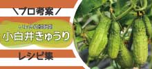 レシピ集 きゅうり