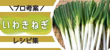 レシピ集 ネギ