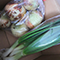 認定No.226 トマトのヘタさん「春野菜続々、、、」