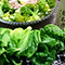 認定No.179 nagiruさん「白石さんの野菜に、ドレッシングも味わう春。」