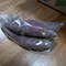 認定No.226 トマトのヘタさん「秋といえば」