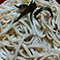 認定No.311 ママさん「しいたけうどん」